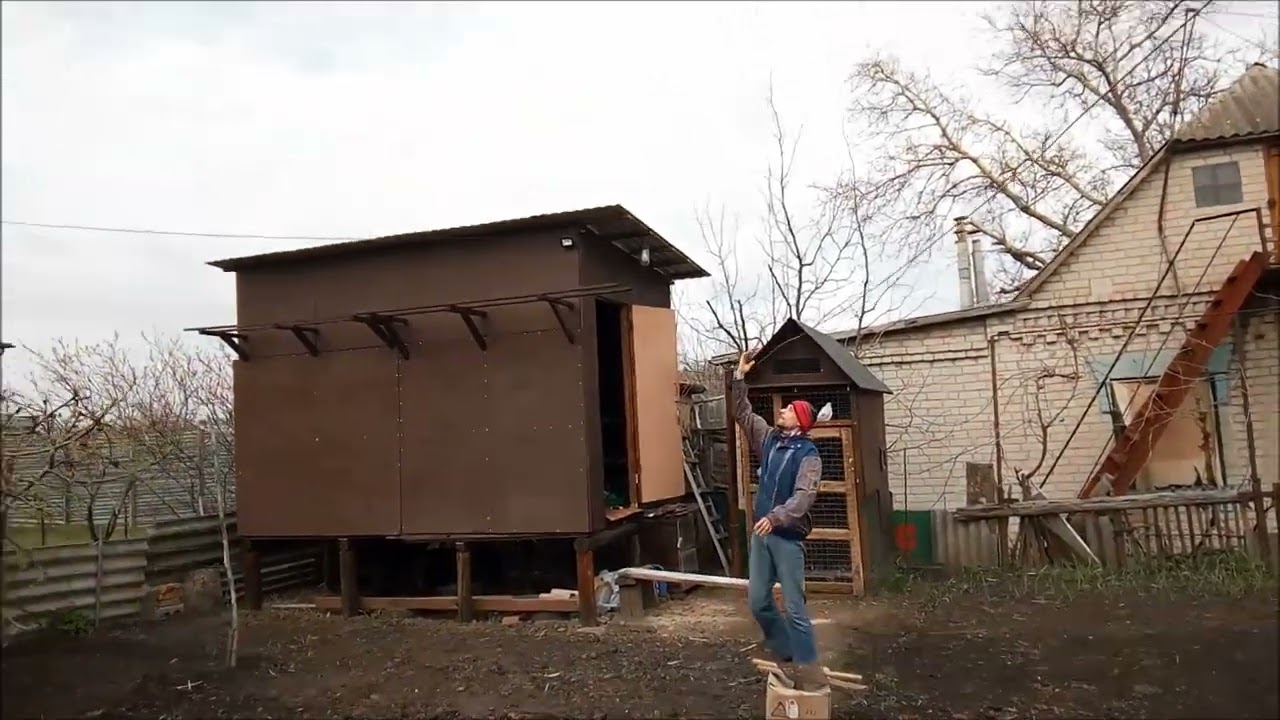 Николаевские и Курские голуби. Будка открывается. Гон голубей 2025 стартует. Пол года не выпускал.