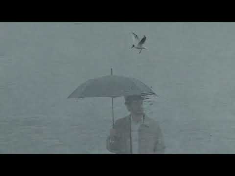 I Will Bring You There - Jordi Forniés