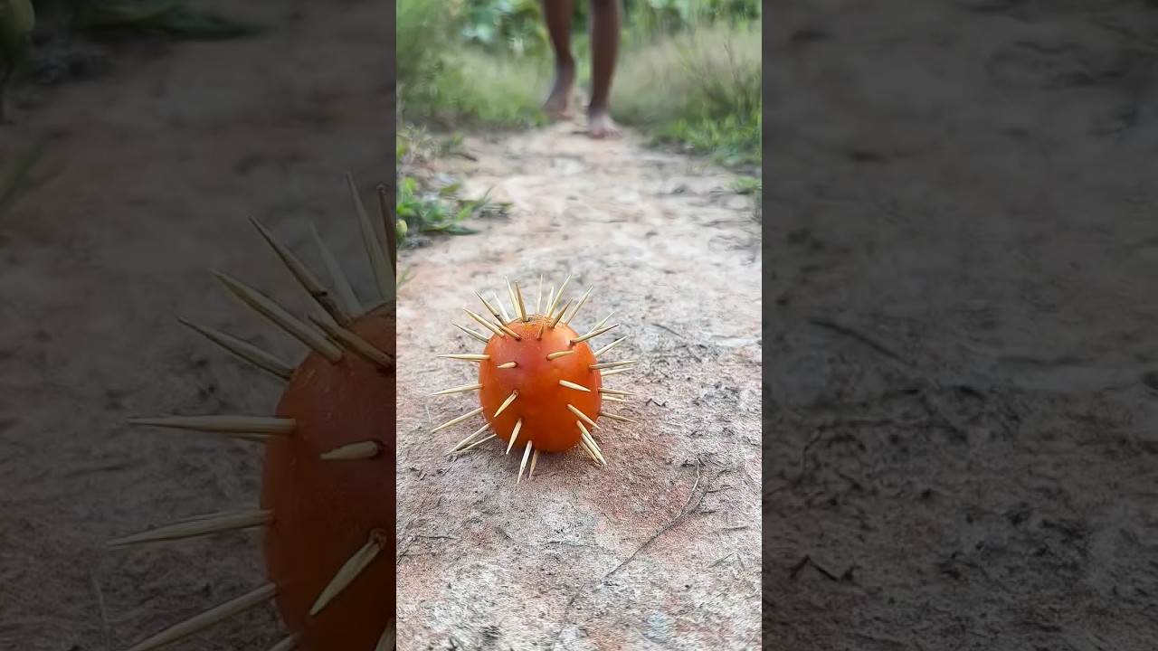 SMART idea and USEF..Survival Skills SMART idea and USEFULw 