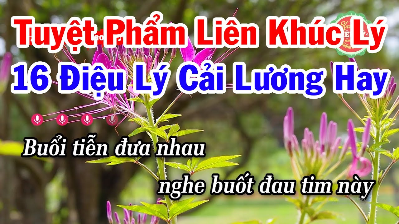 Karaoke Tuyệt Phẩm 16 Điệu Lý Cải Lương Nam Bộ Hay Nhất 2024