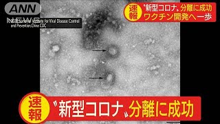 新型コロナウイルス分離に成功　ワクチン開発へ一歩(20/01/31)