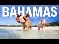 Bahamas In 2026 World Famous Attractions That Live Up To The Hype