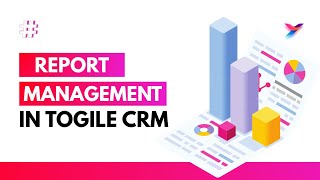 Customize Your Report Dashboard in Togile | Add, Delete, Resize & More