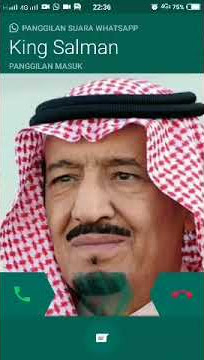 Panggilan telepon Raja salman