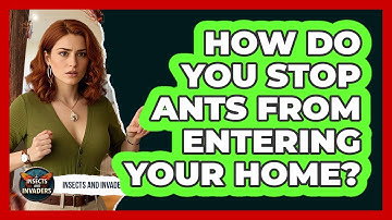 How Do You Stop Ants From Entering Your Home? - Insects and Invaders