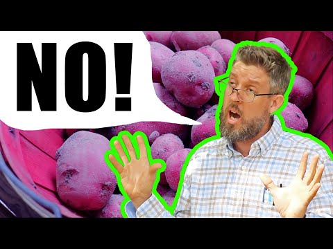 Video: Zijn in de winkel gekochte aardappelen veilig om te groeien: groeiende supermarktaardappelen