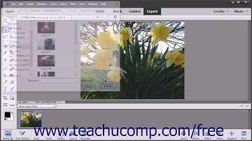 Photoshop Elements 15 Tutorial The Expert Edit Mode Environment Adobe Training