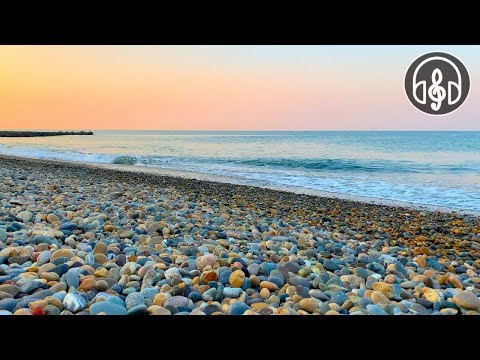 Video: Korallens Död Leder Till En ökning Av Vågorna I Havet - Alternativ Vy