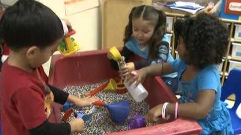 Focused Observations Chapter 4 Video 9