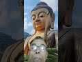 buddhng sarnangacchami #buddhansh #love #lordbuddha #song #nature #music #shortfeed #viralshortvide