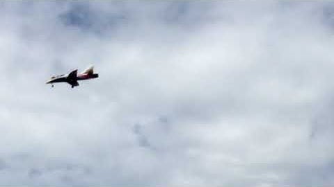 Fms avanti v-3 thrust vectoring crash