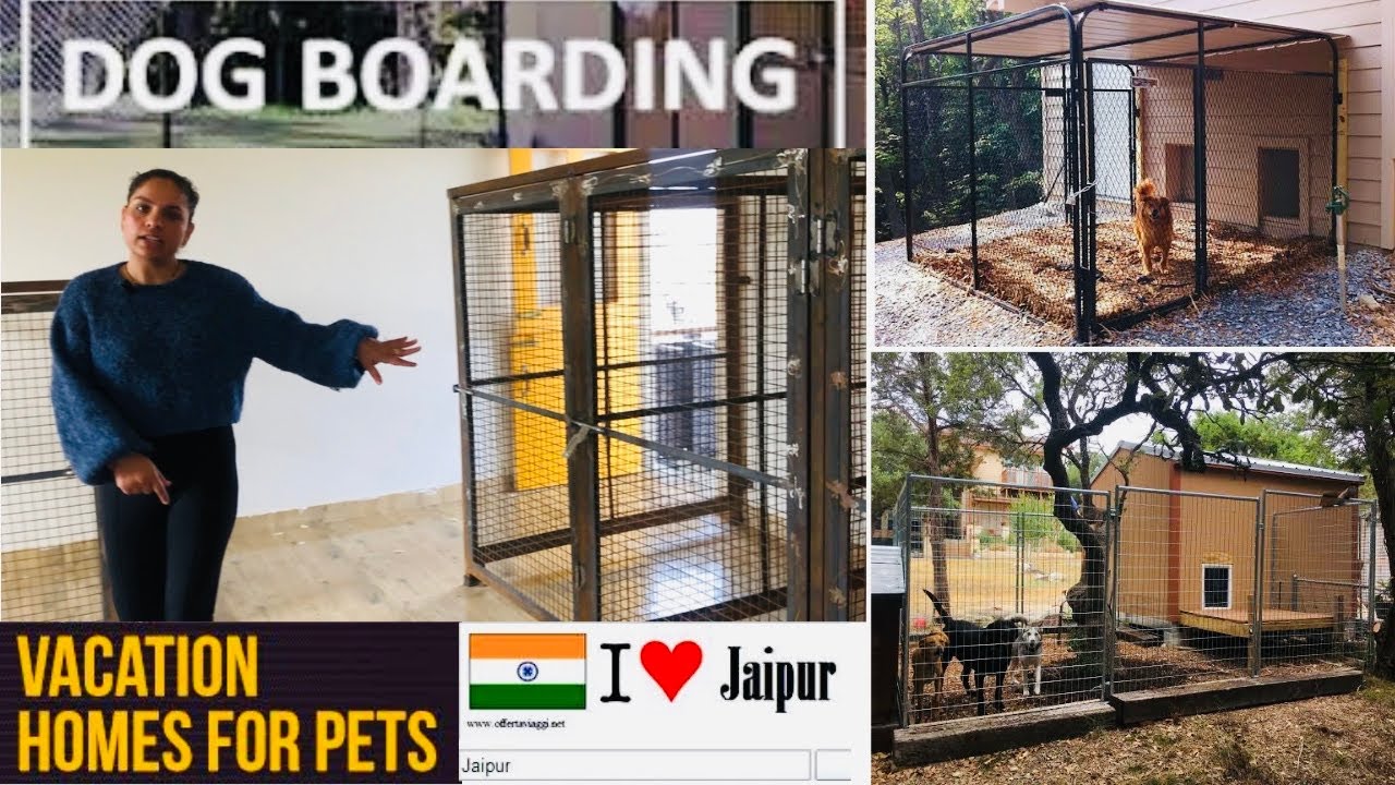 India Biggest Dog Kennel 😱 Best Dog Care Centre Setup 👍 YouTube