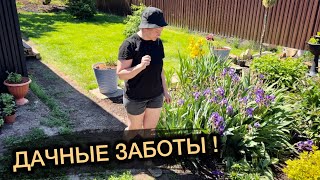 Эта ДАЧА была полностью заросшей!! а теперь здесь красота и порядок.