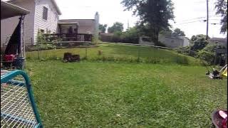 Annoying Barking Neighbor Dog - How to STOP IT