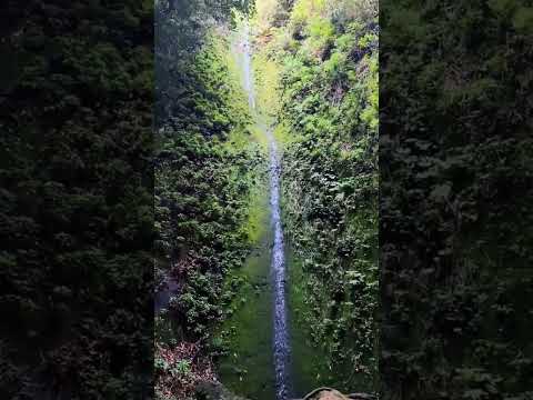 Anaga Rural Park In Tenerife NestsHostels