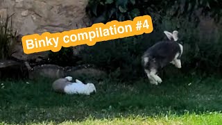 Rabbit Binky Compilation #4