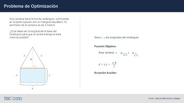 Video 1: Problema de Optimización (Parte I)