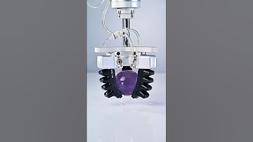 🚀 The Future of Automation is Soft! Discover the Power of Flexible Grippers