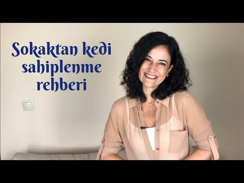 Video: Sokak Kedisi Nasıl Evcilleştirilir