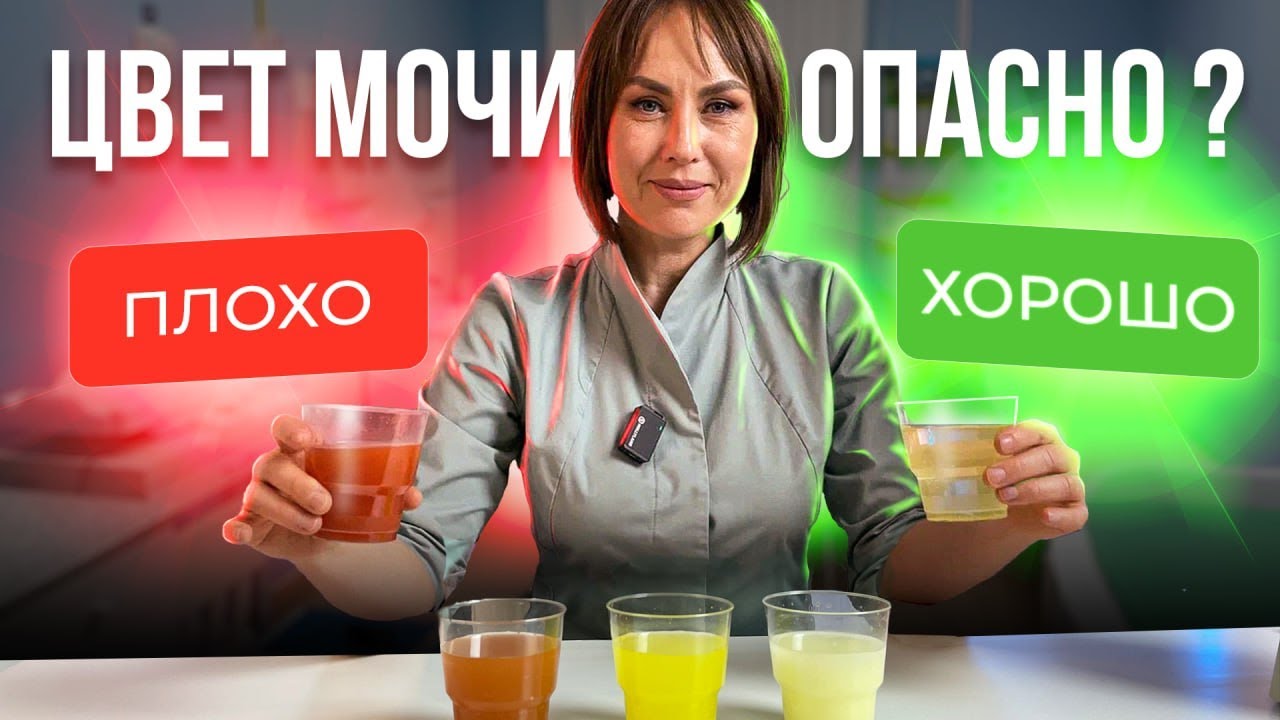 О чем говорит цвет мочи? 🟡🔴🟤 Как по цвету мочи понять свои проблемы со здоровьем 🫀