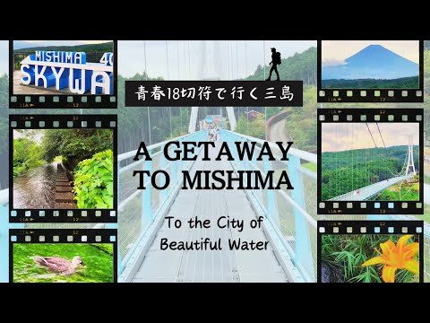 Nature Escape in Mishima: Riverside stroll and Skywalk adventure.🗻【JAPAN TRAVEL VLOG】