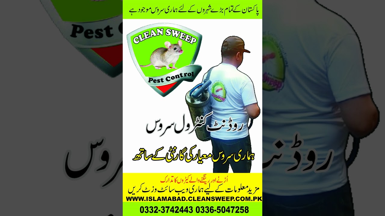 Gallon Mouse Trap,The best mouse trap I've ever seen,How to make a mouse trap homemade 