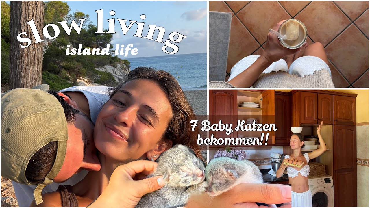 Straßenkatze bekommt babies!! Schlechte Laune & Insel Alltag - Mallorca Diaries