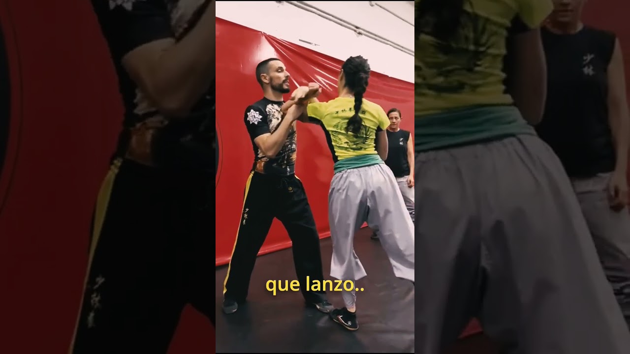 Tong bei application / Shaolin kungfu 