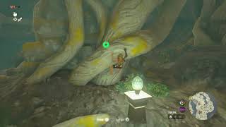 Tears of the Kingdom Any% Guide (1.2.0) - Bottomless Cave to Ascend Shrine