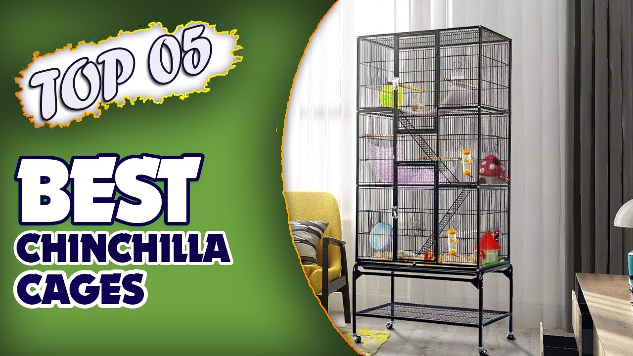 The Best Chinchilla Cages Best Products Guided! YouTube