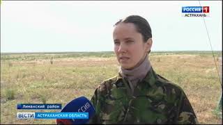 В Астраханской области восстанавливается популяция краснокнижных животных В Астраханской области восстанавливается популяция краснокнижных животных