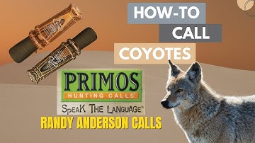 How To Call a Coyote with Primo