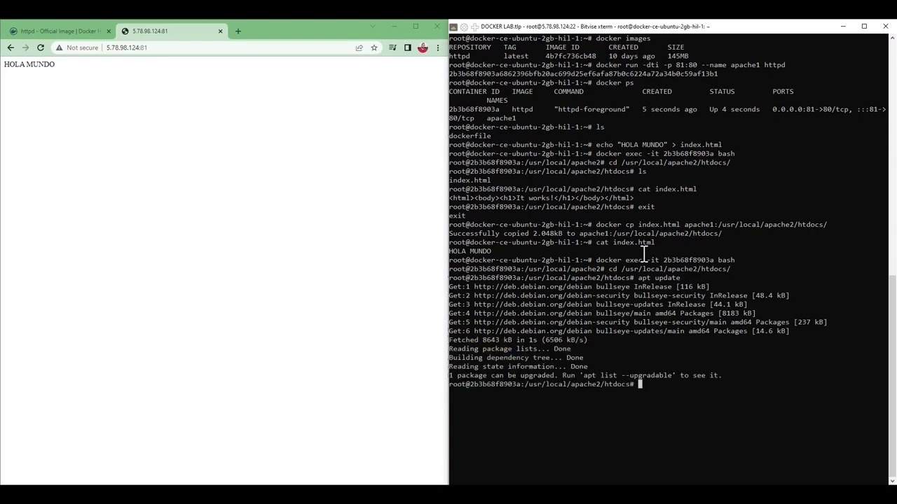 How to copy folders or files in Docker containers