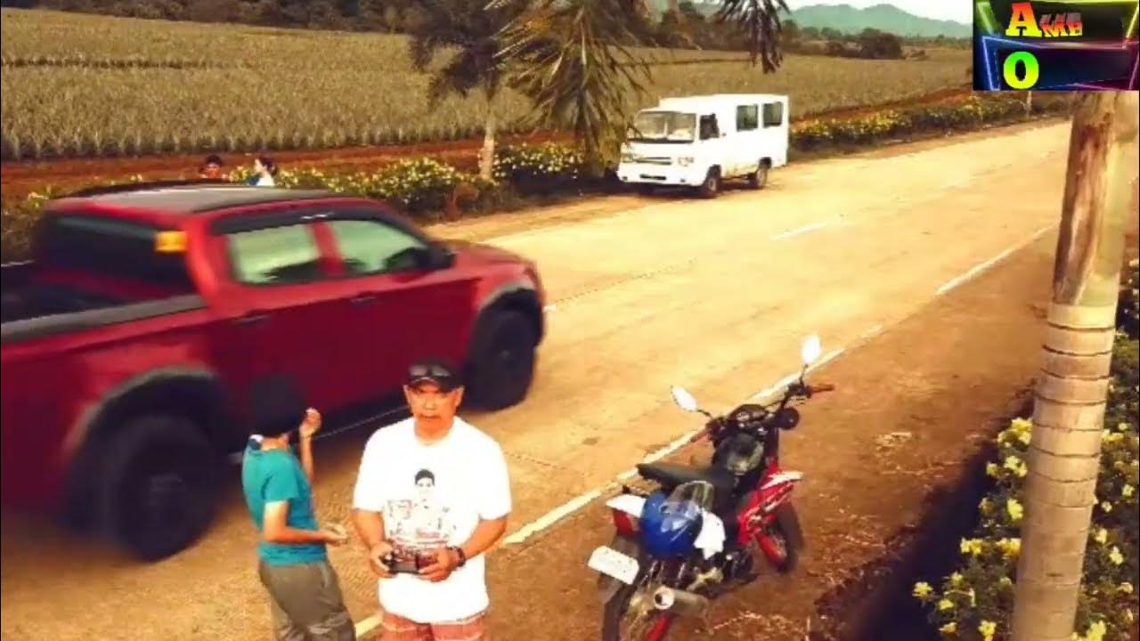 pineapple farm sa BRGY BILIBOY ORMOC CITY YouTube