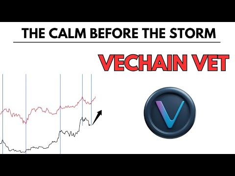 Video preview for VET: The Calm Before the STORM - Vechain VET Price Prediction