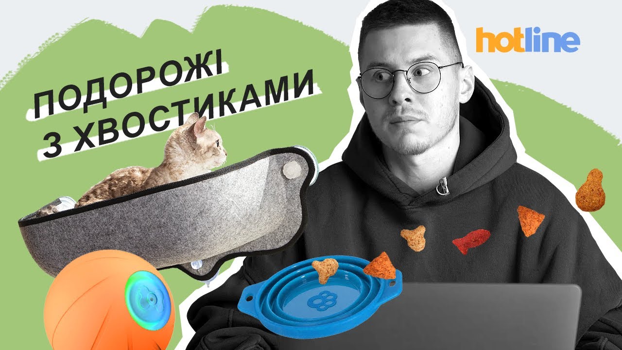 Які потрібні документи для вивозу собак і кішок за кордон