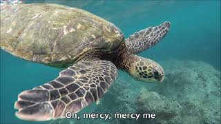 Marvin Gaye   Mercy Mercy Me The Ecology Lyrics  HD