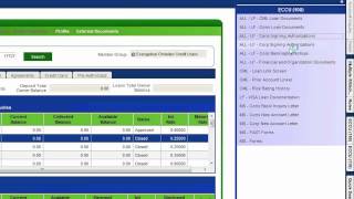 MVi with OSI DNA Integration