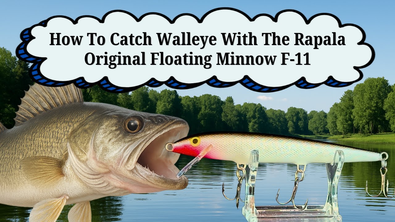 How To Catch Walleye With The Rapala Original Floating Minnow F-11