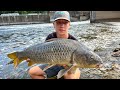 Downtown minneapolis spillway holds giants crazy sight fishing