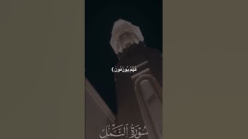 تلاوة مباركة للقارئ خالد الشمري