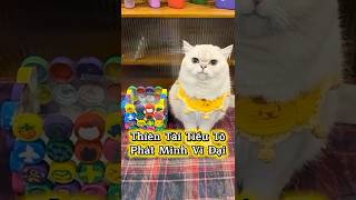 Phát Minh Vĩ Đại Của Thiên Tài Tiểu Tô ✅👍 #Shorts #ThuCung #ChoMeoDrama #meouo6868 #tiktok #douyin