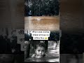 এই প্রথম দেখলাম কাফনের পর ভাসিয়ে দিতে 😭। #viralshort #news  #new #editingtutorial360 #youtubeshorts