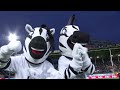 Sporting Charleroi knoopt opnieuw aan met een overwinning! 🦓👊 | Sporting Charleroi - Royal Antwerp