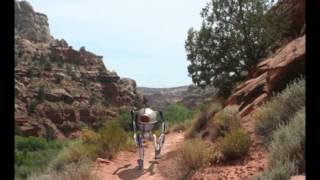 Hikingrobot