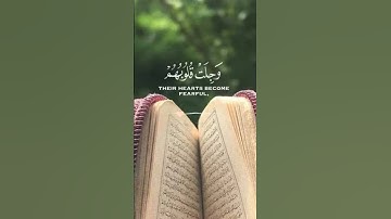 ارح سمعك💙سورة الحج _ المنشاوي #قران_كريم #سورة_الحج #القارىء #الشيخ_محمد_صديق_المنشاوي #videoshort