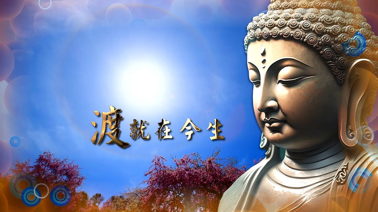 2023《渡 就在今生》MV