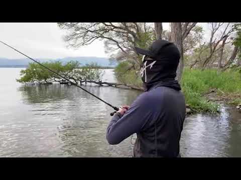 【LIVE】春の琵琶湖オカッパリバス釣り
