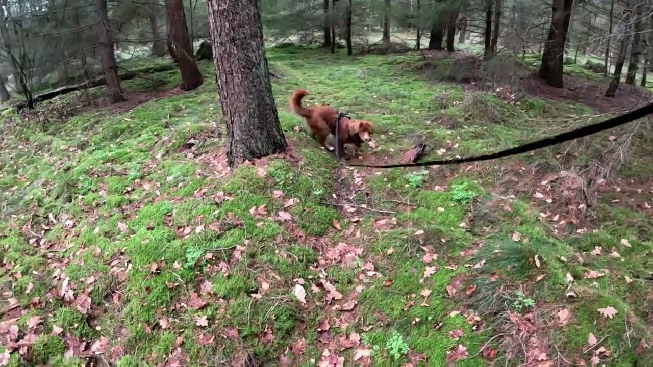 praktijkspeuren 14 02 2026