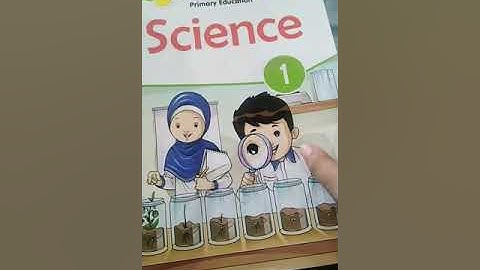 Grade:1 Science Unit#8 1st half Rd/The Message School Video lectures